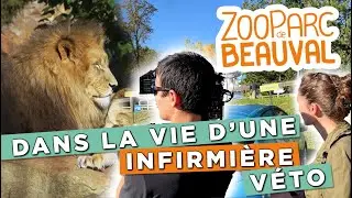 IMMERSION dans la CLINIQUE VÉTÉRINAIRE du ZooParc de Beauval