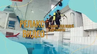 Подводное релакс видео! Расслабление и медитация! Космос под водой!