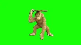 Green Screen Monkey Side Table  | Chroma Key Graphics For Videos No Copyright (Free To Use)