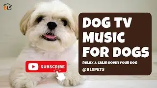 DOG TV | TV FOR DOGS | Relaxing Music For Dogs | Music For Dogs | Watch Your Dog Relax 🐶