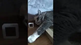 Жаришка 🔥 когда снег? 😅