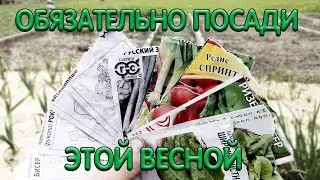 Грядка для зелени I обзор семян гавриш