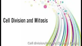 Cell Division and Mitosis ( Sayat & Pasia)