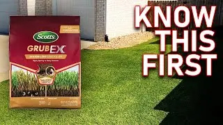 Lawn Grubs Aren't What You Think