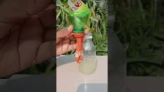 Lemon And Eno Experiment।Simple Science Experiments।Easy Experiments