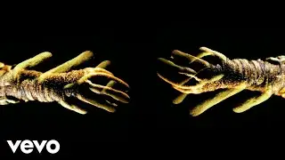 Current Joys - talk to me (Official Video)