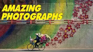 Stunning Photos From Sony World Photography Awards 2022