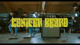 CONIFER BEARD - Sleep