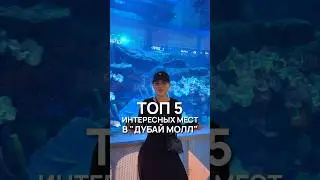 ТОП-5 интересных мест в Дубай Молле 