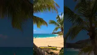 Top Mind Blowing Places in Bahamas | #travelvlog #travel #bahamas