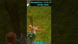 Mesopithecus Tame in Ark Mobile | 