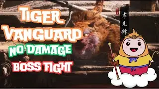 Tiger Vanguard - Hard Mode - No Damage Boss Fight Challenge