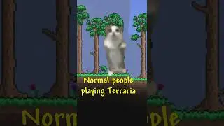Rational Gamers explaining Terraria