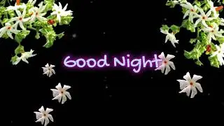 Good Night Animation//Good Night//Night View Animation