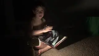 Max is ready a bedtime story