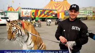 Цирк-шапито в Хабаровске: впервые за много-много лет!