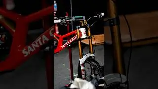 🔥 Hot or Not? 💩 Custom Stella Downhill Bike 🥵