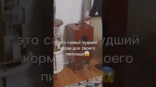 Чем кормите своих хвостиков? 🦮🐈