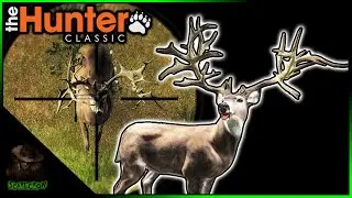 Call Of The Wild Needs These! MONSTER Non Typical Whitetail Deer! theHunter Classic