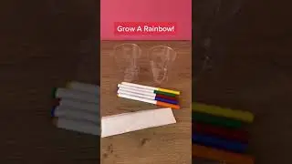 Grow A Rainbow! | STEM For Kids | Science Experiment | 