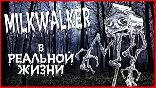 НАШЕЛ ХОДЯЧЕЕ МОЛОКО В ЛЕСУ. MILKWALKER AMBASSADOR. ТРЕВОР ХЕНДЕРСОН