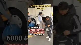 Москва Ташкент Узбекистан автобус #automobile #kpopfunny #bgm #rek #kpop #дальнобой #kpopfunnyvideos