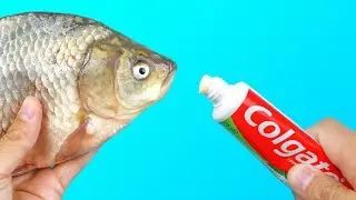 40 IDEAS Y TRUCOS INCREÍBLES CON PASTA DE DIENTES