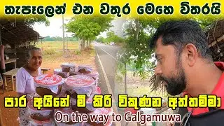 තැපැල් මගින් වතුර එන්නේ මෙහේ විතරයි | පාර අයිනේ මී කිරි විකුණන අත්තම්මා | galgamuwa