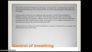 Powerpoint video part 2