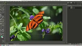 Gimp Eğitimleri - 19 (Kırpma Aracı)