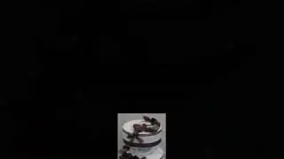 СаМыЕ КРАСИВЫЕ тОрТы