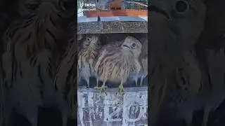 Don't move!
