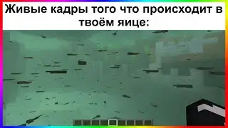 тик ток в яйце | подборка мемов