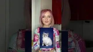 Звук кошки