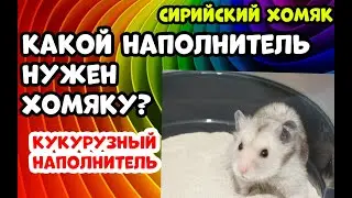 КАКОЙ НАПОЛНИТЕЛЬ НУЖЕН ХОМЯКУ? КУКУРУЗНЫЙ НАПОЛНИТЕЛЬ.
