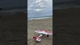 Beach Bigfoot in serious winds