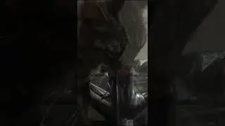 Cat video видео с котом #cat