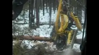ВАЛКА ЛЕСА ЯКША