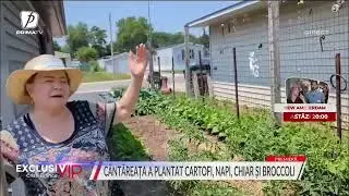 Saveta Bogdan, grădină de invidiat în America: A plantat cartofi, napi și broccoli