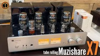 PSAVNE Horizon KT88, 12AX7 & 12AU7 Tubes Review