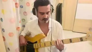 Tina turner private dancer bass cover Fender jazz bass av75