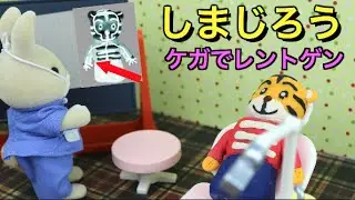 しまじろう けがをしてお医者さんでレントゲン