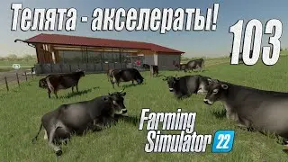 Farming Simulator 22 [карта Элмкрик], 