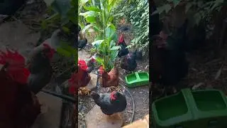 Molting reminder meeting 