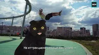 Анализы не под кустиком | Кот Бублик