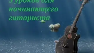 Как выбрать гитару для занятий.