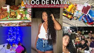 VLOG DE NATAL - AMIGO SECRETO, COMPRAS, PREPARATIVOS E CEIA 🎄❤️✨