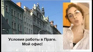 Условия работы в Праге. Мой офис!