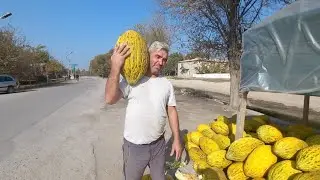крокодил харбуза
