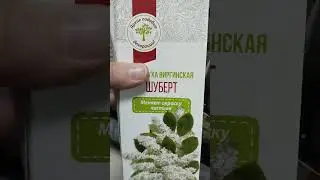 В Фикс Прайс завезли саженцы для дачи